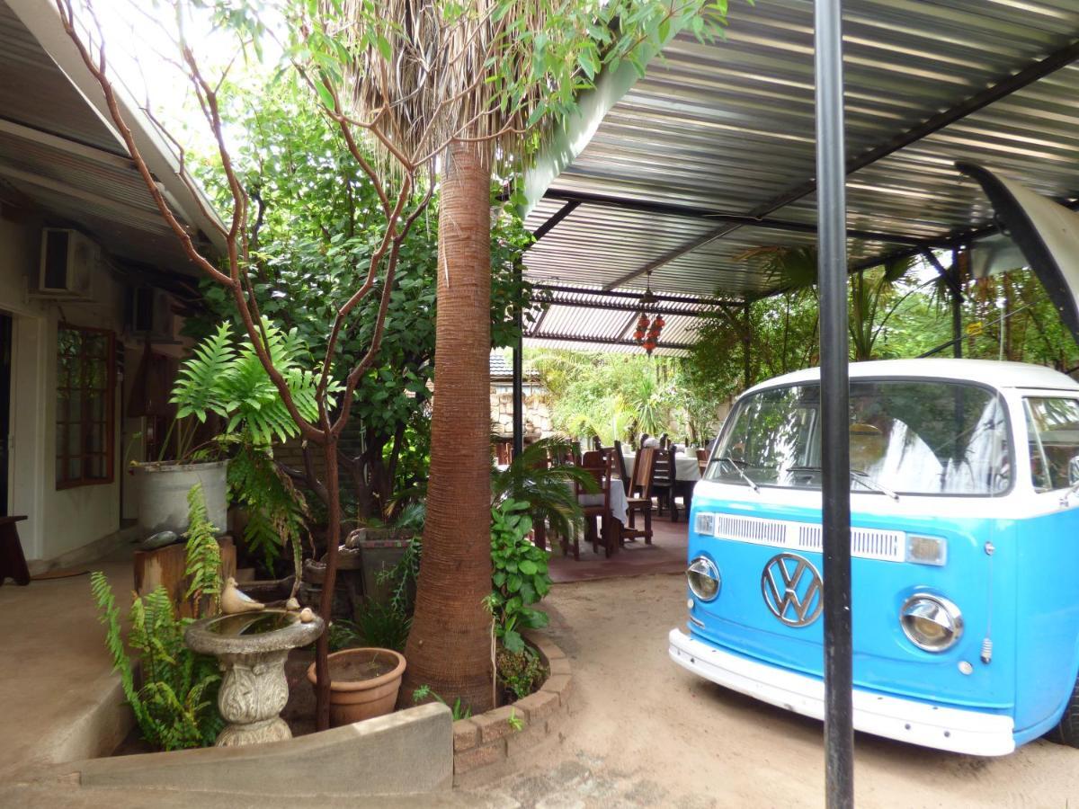 Villa Africa Guesthouse تسومب المظهر الخارجي الصورة